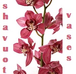 Shavuot Orchids