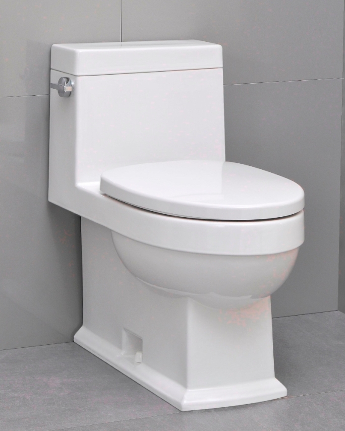 Icera Karo One-Peice Elongated Comfort Height Toilet with Soft-Close Seat