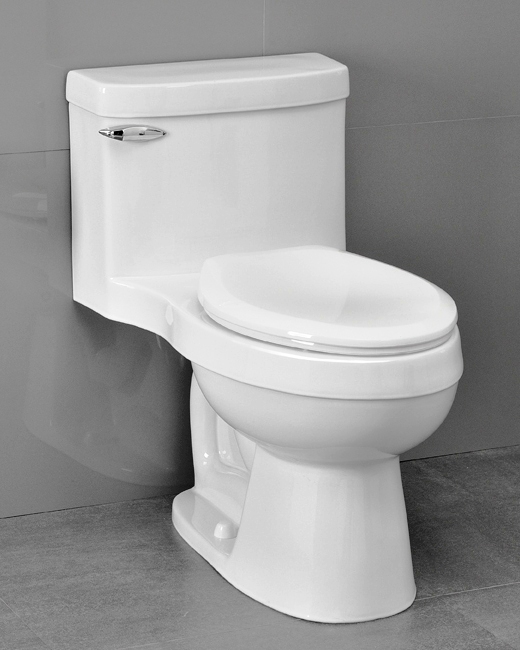 Icera Riose One-Peice Elongated Comfort Height Toilet with Soft-Close Seat
