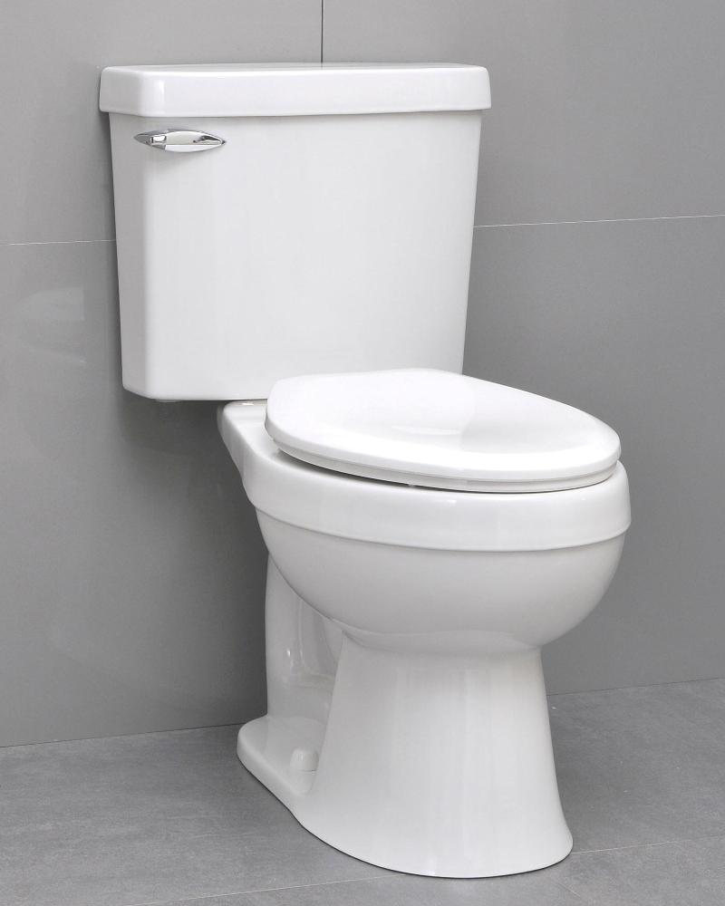 Icera Riose Professional Two-Peice Elongated Comfort Height Toilet with Soft-Close Seat