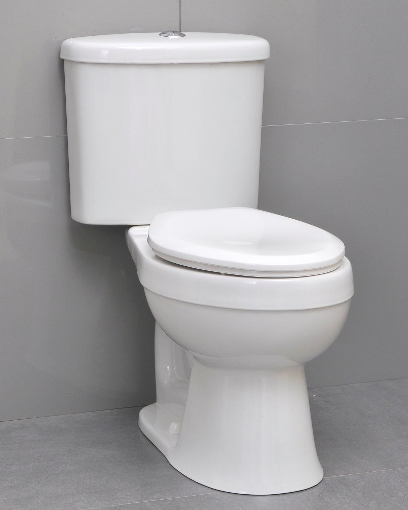 Icera Riose Two-Peice Elongated Comfort Height Dual-Flush Toilet with Soft-Close Seat