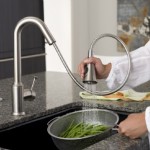 American Standard Pekoe Pull-Down Kitchen Faucet