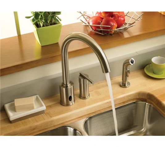 Danze Parma Single Handle Dual Function Kitchen Faucet With Spray