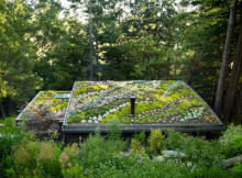 living_roof