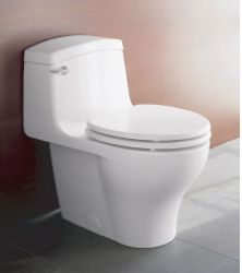 Porcher Veneto Toilet: Porcher Veneto Toilet ll One - Piece Toilet - 97220