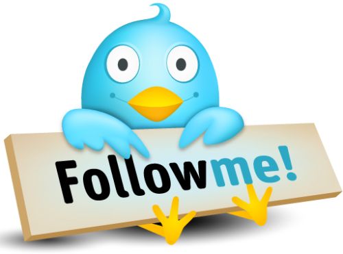 twitter-follow-me-bird
