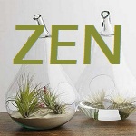 Zen Accessory