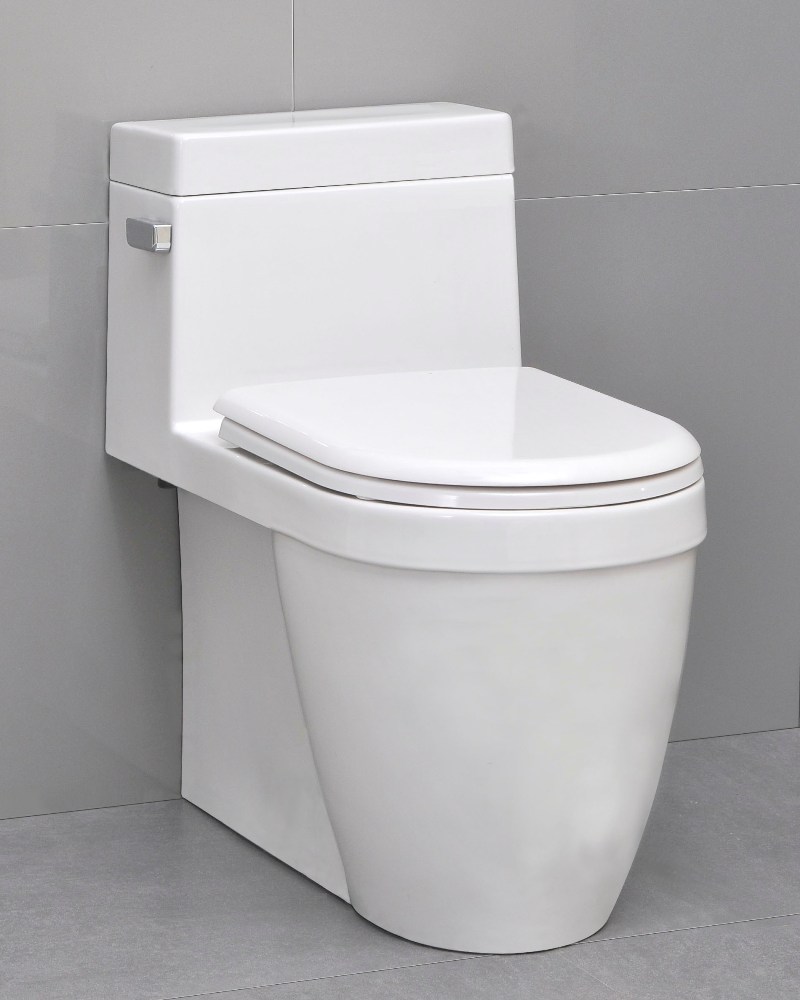 Icera Muse One-Peice Elongated Comfort Height Toilet with Soft-Close Seat