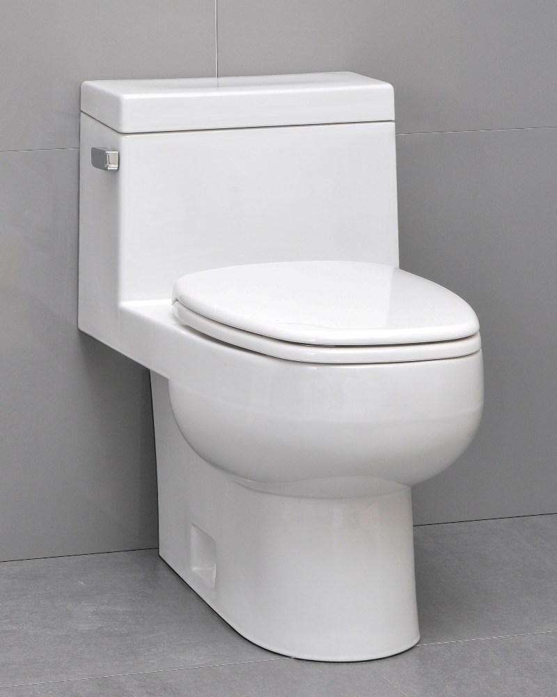 Icera Vista One-Peice Elongated Comfort Height Toilet with Soft-Close Seat