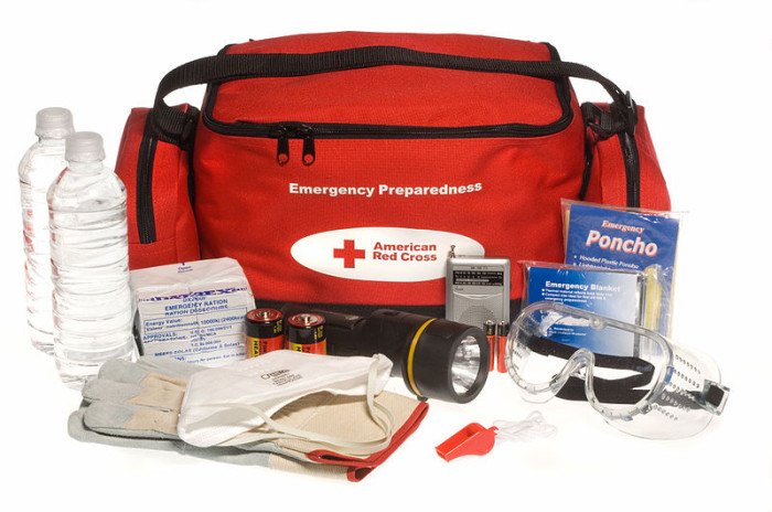 FEMA_Emergency_Preparedness_ready_to_go_kit.