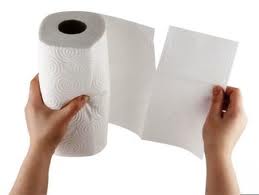 paper towel 2